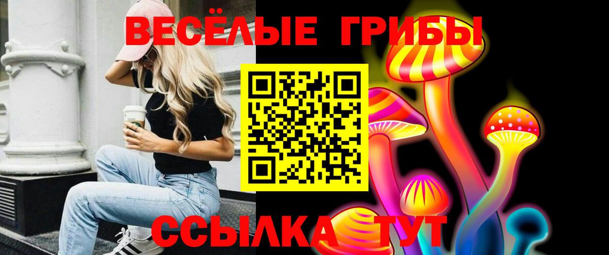 Учалы  Псилоцибиновые грибы мицелий  Вход с VPN 